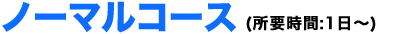 ノーマルコース