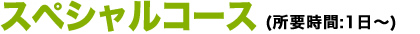 スペシャルコース